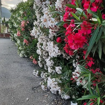 Le Jardin De Domi * Ventiseri