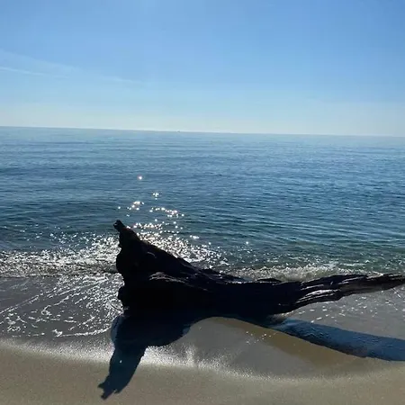 Διαμέρισμα Le Jardin De Domi Ventiseri