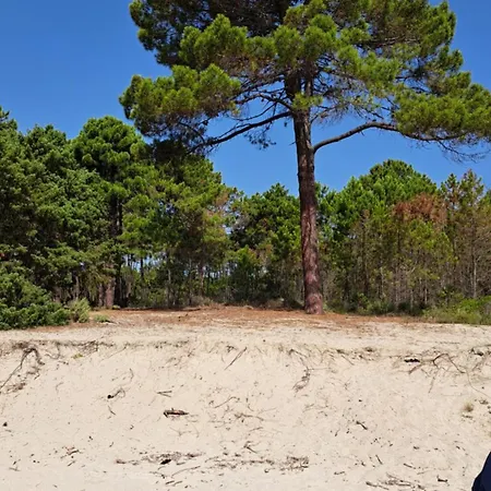 Le Jardin De Domi * Ventiseri