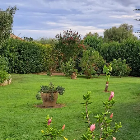 דירה Le Jardin De Domi Ventiseri