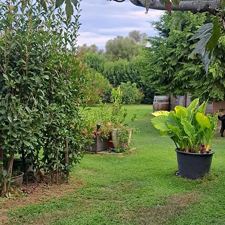 Le Jardin De Domi * Ventiseri