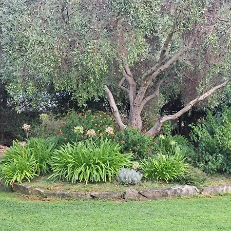 Le Jardin De Domi דירה *