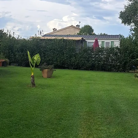 Le Jardin De Domi *