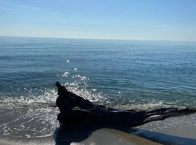 Appartement Le Jardin De Domi Ventiseri