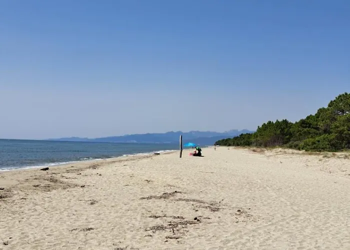 Le Jardin De Domi Appartement Ventiseri