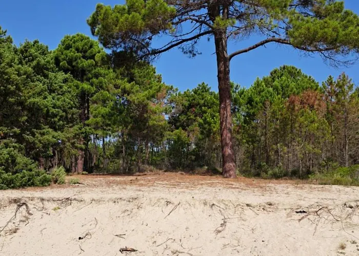 Le Jardin De Domi * Ventiseri