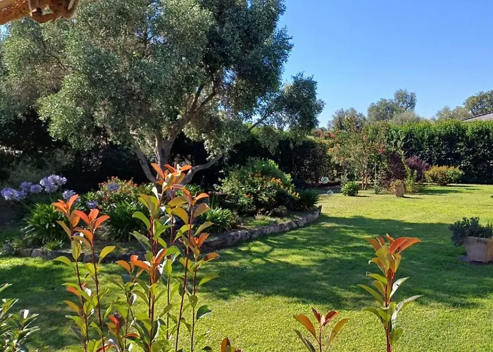 Le Jardin De Domi Appartamento Ventiseri
